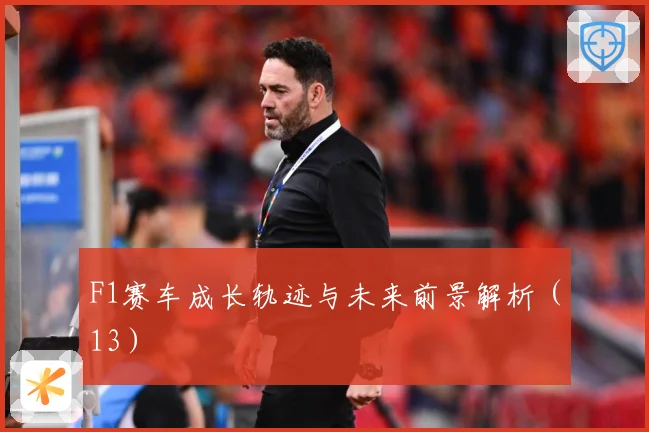 F1赛车成长轨迹与未来前景解析（13）