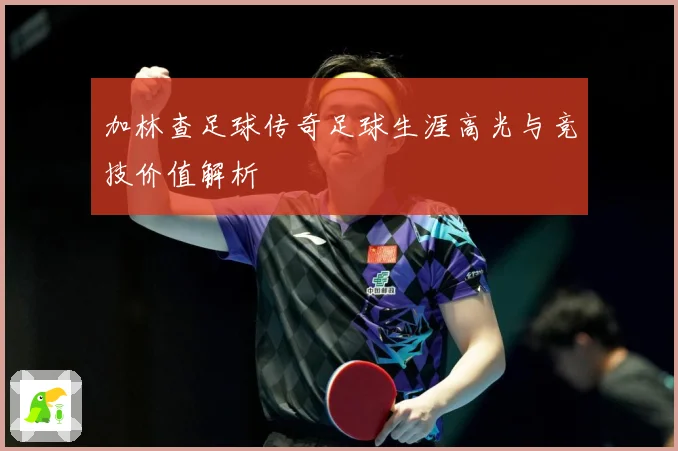 加林查足球传奇足球生涯高光与竞技价值解析