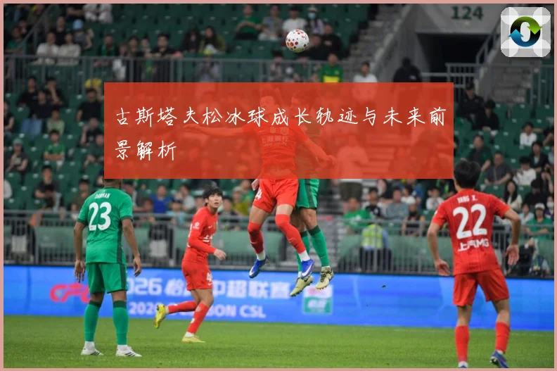 古斯塔夫松冰球成长轨迹与未来前景解析