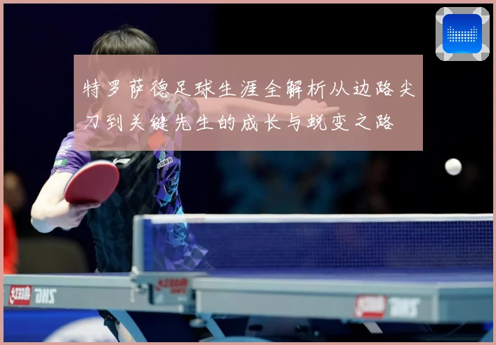 特罗萨德足球生涯全解析从边路尖刀到关键先生的成长与蜕变之路