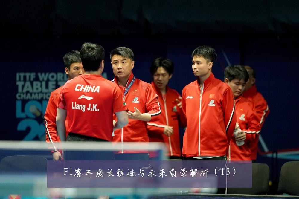 F1赛车成长轨迹与未来前景解析(13)